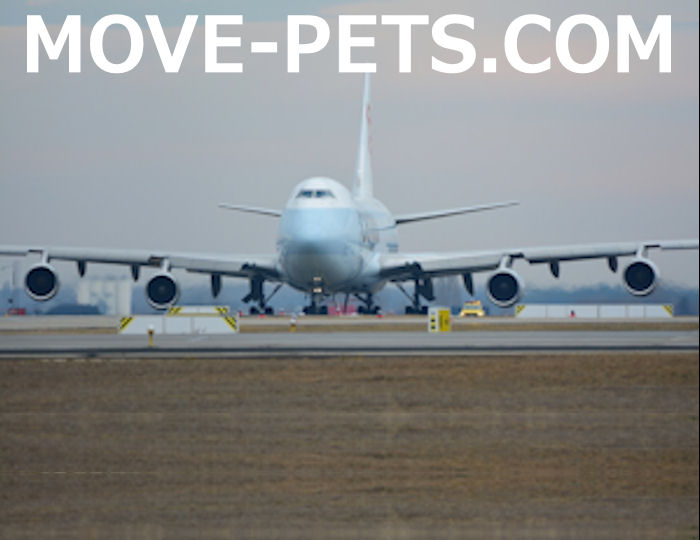 MOVE-PETS